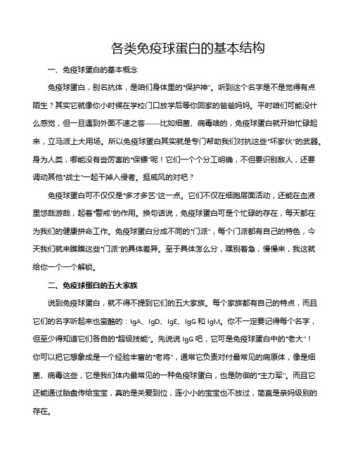 各类免疫球蛋白的基本结构