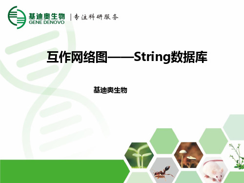 基于互作网络图——string数据库