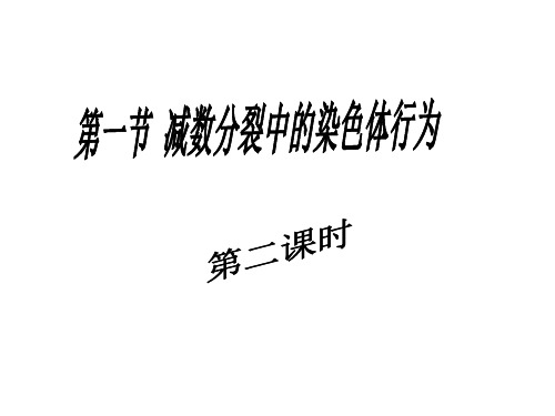 浙江省桐庐分水高级中学浙科版高中生物必修二课件:21减数分裂中的染色体行为2(共21张PPT)