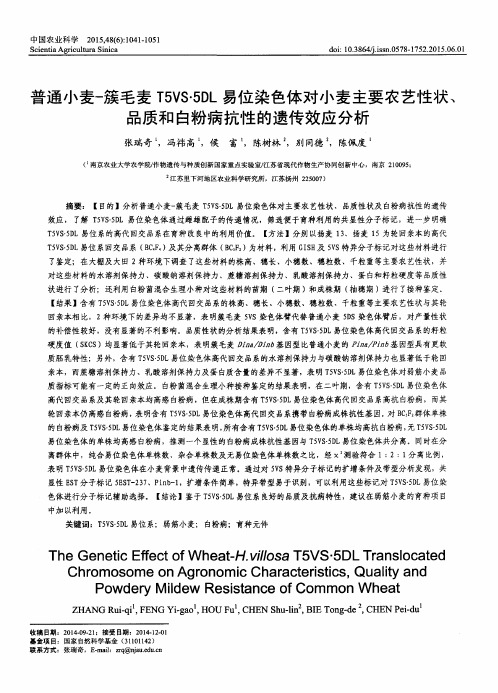 普通小麦-簇毛麦T5VS·5DL易位染色体对小麦主要农艺性状、品质和白