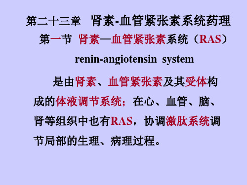 肾素血管紧张素系统