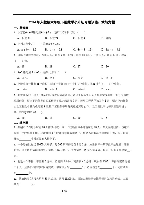 2024年人教版六年级下册数学小升初专题训练：式与方程(含答案)