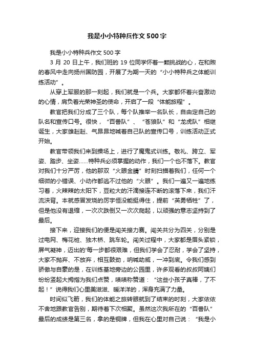 我是小小特种兵作文500字