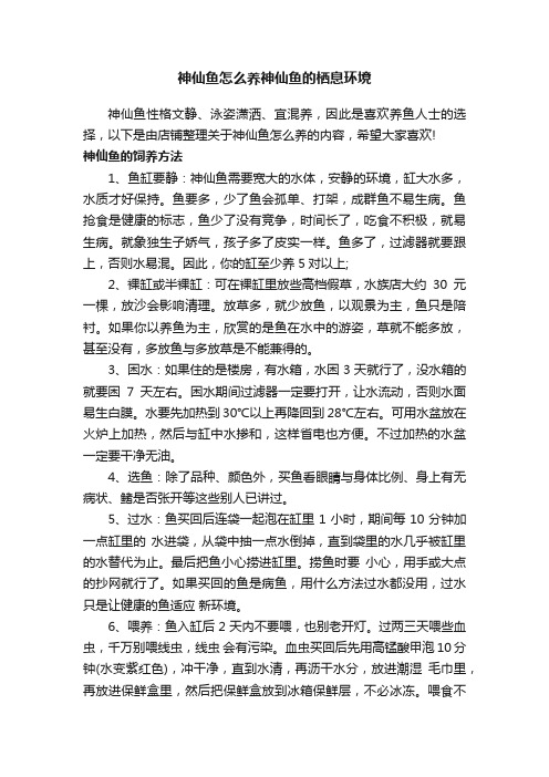 神仙鱼怎么养神仙鱼的栖息环境