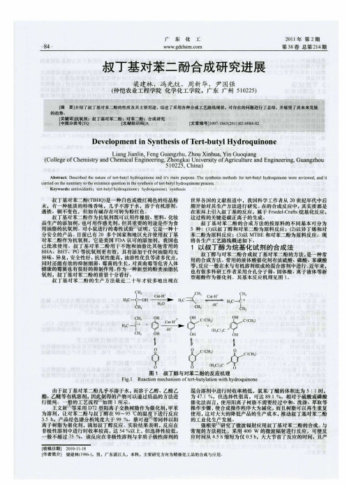 叔丁基对苯二酚合成研究进展