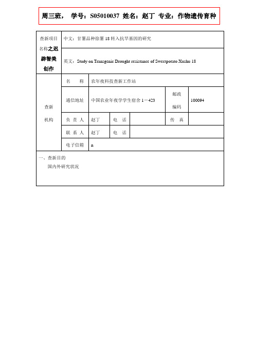 查新报告模板