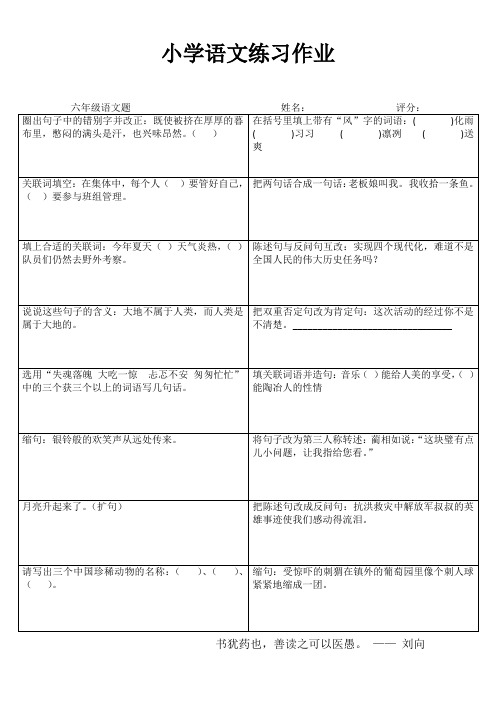 小学六年级语文课堂延伸练习III (14)