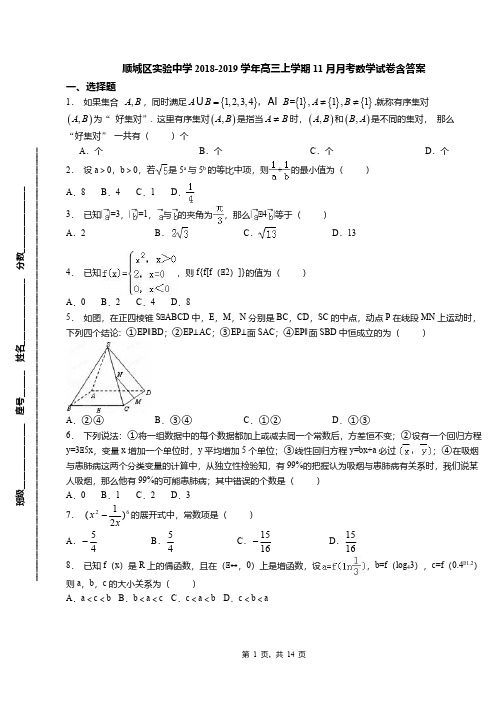 顺城区实验中学2018-2019学年高三上学期11月月考数学试卷含答案