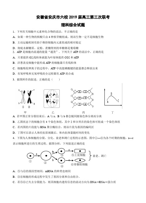 安徽省安庆市六校2019届高三第三次联考理科综合试题