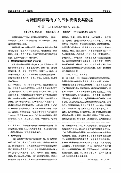 与猪圆环病毒有关的五种疾病及其防控