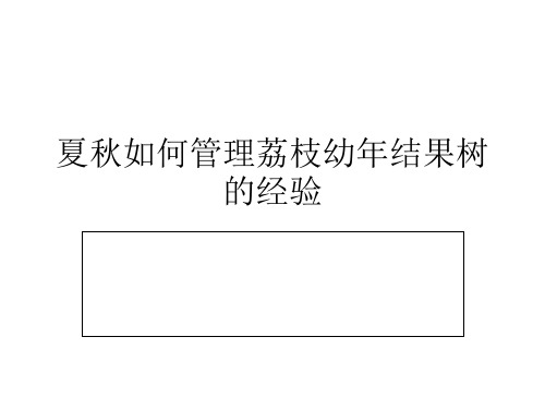 夏秋如何管理荔枝幼年结果树的经验 ppt课件