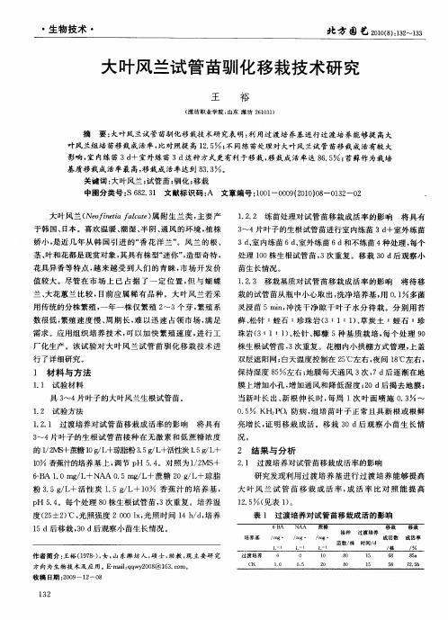 大叶风兰试管苗驯化移栽技术研究