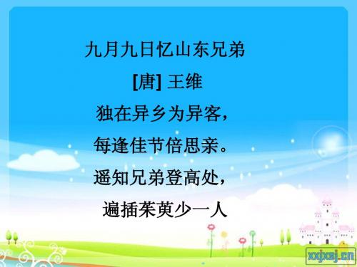 《故乡的芦苇》课件