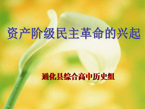 资产阶级民主革命的兴起PPT课件
