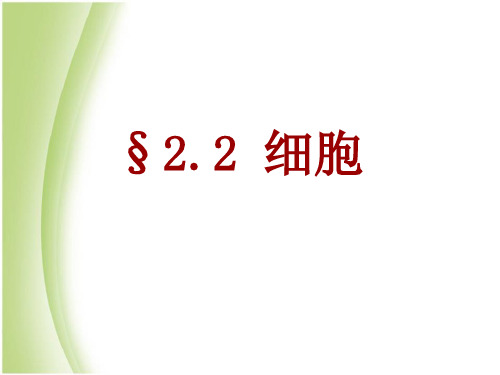 浙教版七年级科学上册 (细胞)课件