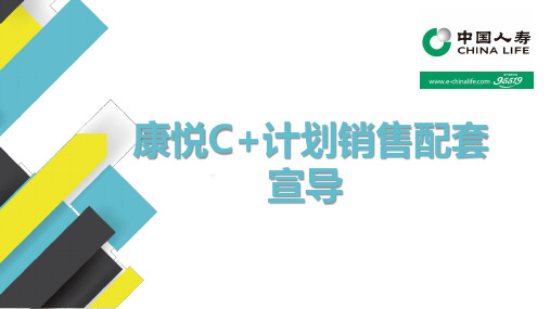 国寿康悦C加计划销售需求导向政策红利精准营销系统职场落地32页