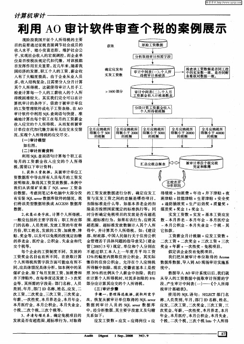 利用AO审计软件审查个税的案例展示