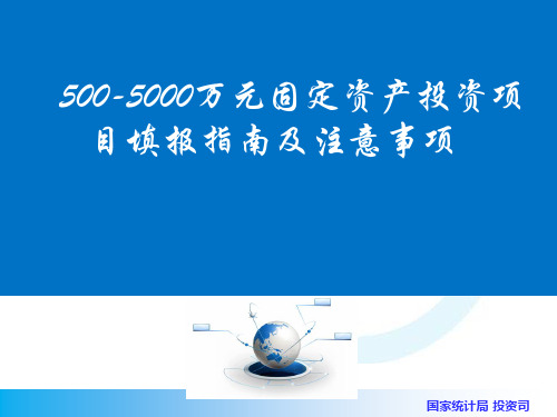 500_5000万元投资项目填报的指南