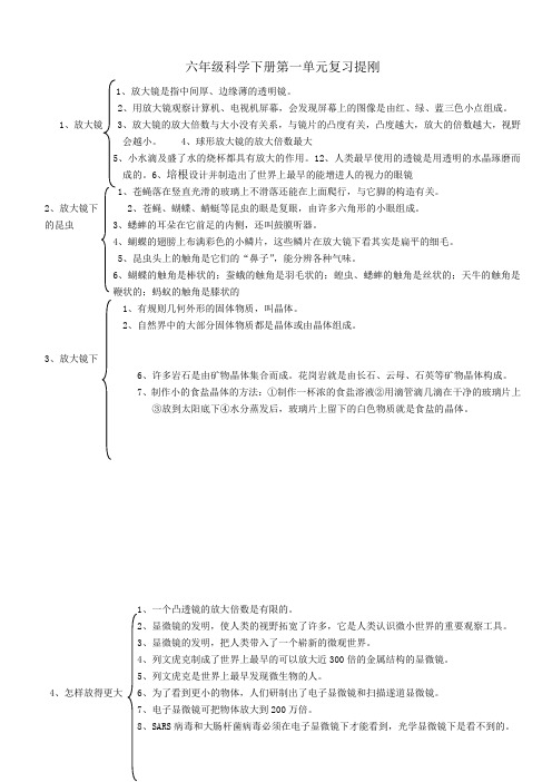 六年级科学下册第一单元复习提纲