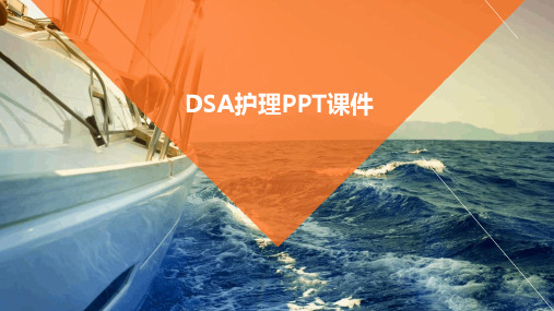 DSA护理ppt课件