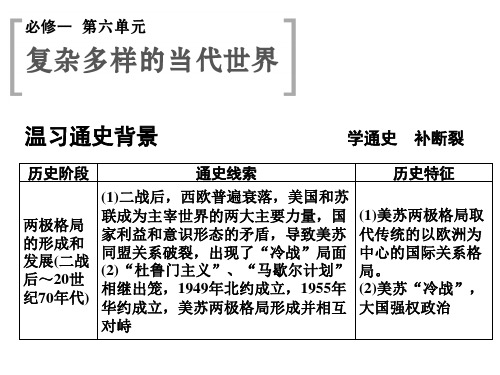 2015高考历史(山东)一轮课件：第13课时 两极对峙格局的形成