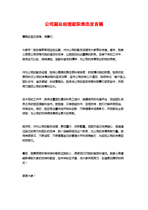 公司副总经理就职表态发言稿