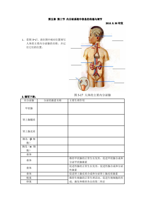 沪科版生命科学高二上5-3《内分泌系统中信息的传递和调节》学案2