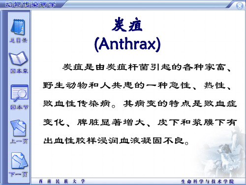 牛羊炭疽