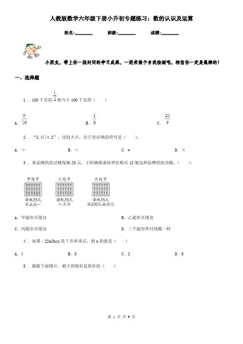 人教版数学六年级下册小升初专题练习：数的认识及运算