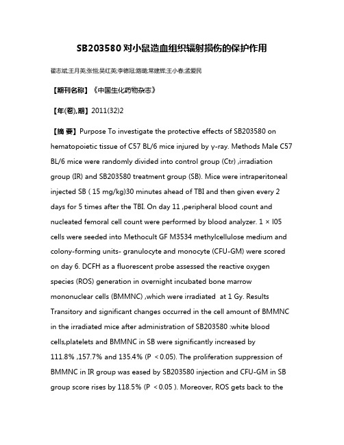 SB203580对小鼠造血组织辐射损伤的保护作用