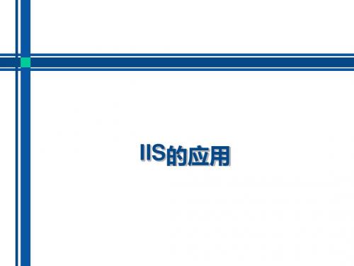《diIIS的使用》PPT课件