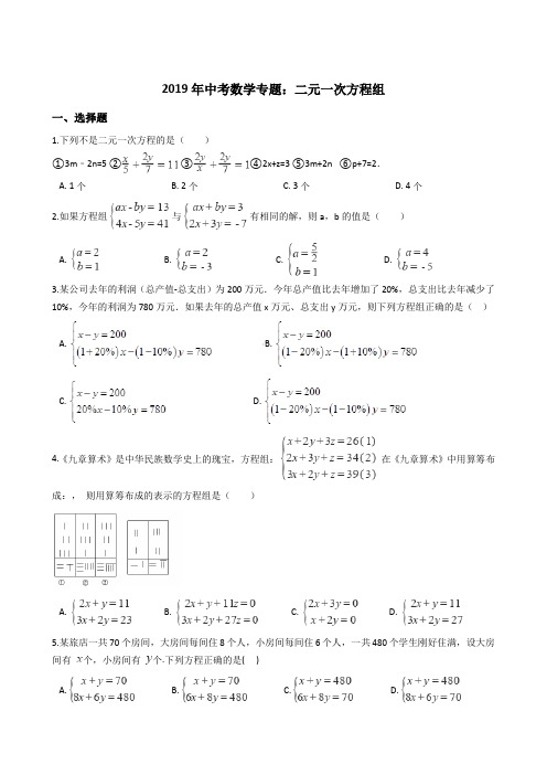 2019年中考数学专题：二元一次方程组及答案