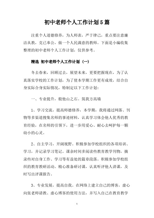初中老师个人工作计划5篇.doc