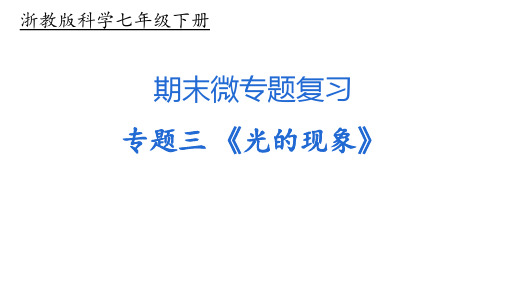 浙教版七年级科学下册期末微专题复习之专题三《光的现象》