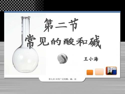 沪教版 常见的酸与碱 教学PPT