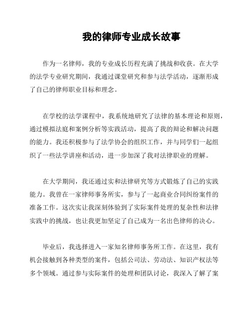 我的律师专业成长故事