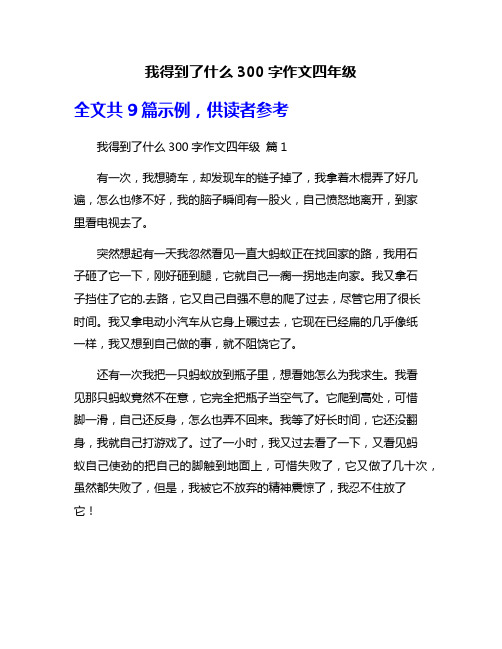 我得到了什么300字作文四年级