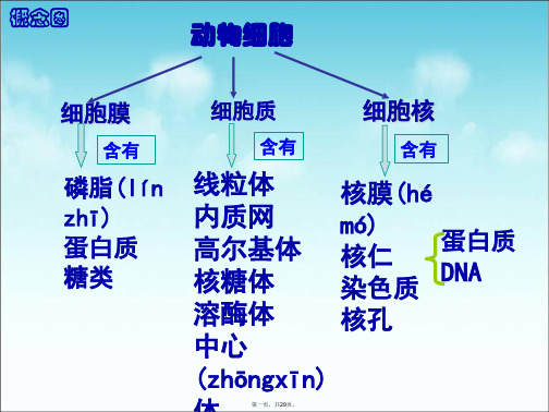 最新《植物细胞的吸水和失水》实验探究课件精品课件