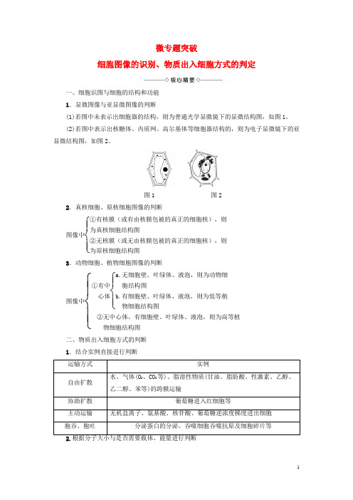 高中生物第3章_微专题突破苏教版必修1