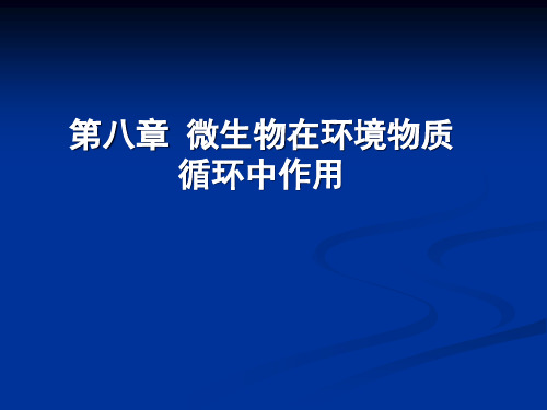 微生物在环境物质循环中作用要点市公开课获奖课件省名师示范课获奖课件