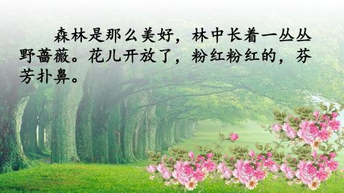 10 妈妈,我不是最弱小的