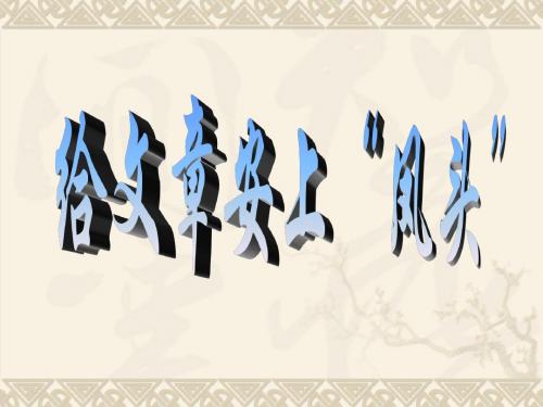 风头