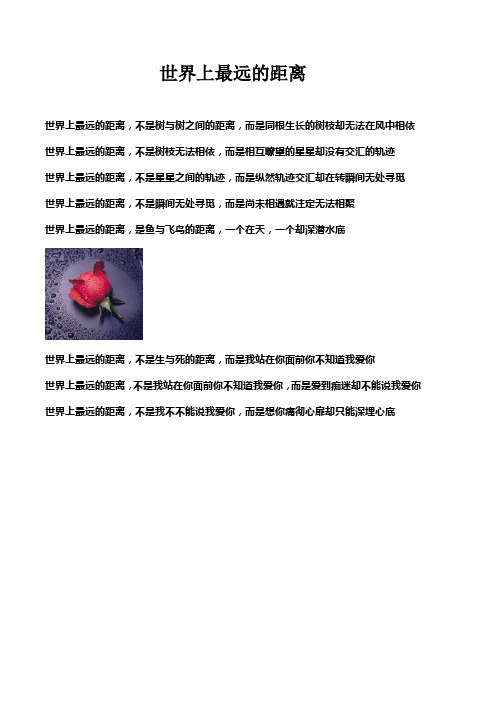 世界上最远的距离