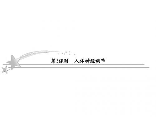 2013高考二轮复习 3-1-3 人体神经调节