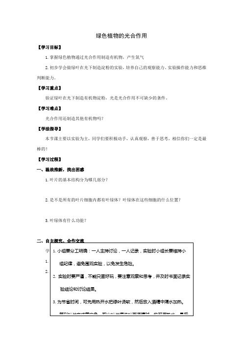 绿色植物的光合作用一