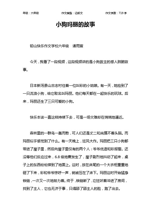 小狗玛丽的故事作文【小学六年级700字】