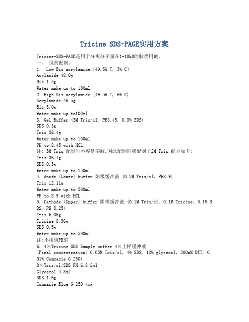 Tricine SDS-PAGE实用方案