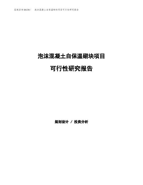 2020年泡沫混凝土自保温砌块项目可行性研究报告