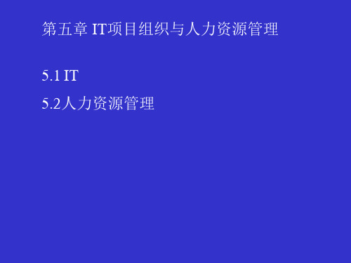 5IT项目组织与人力资源管理精品PPT课件