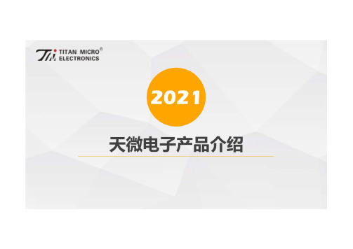 2021年天微电子产品介绍